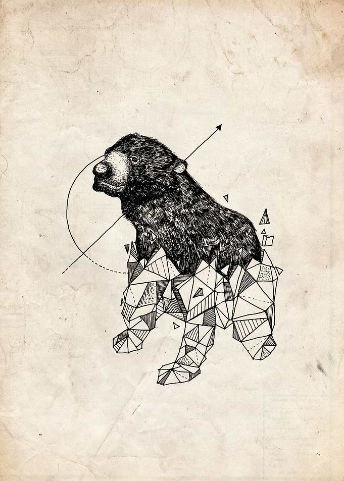 bear geometric