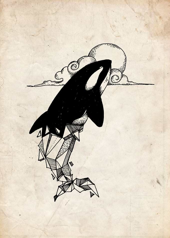 orca whale