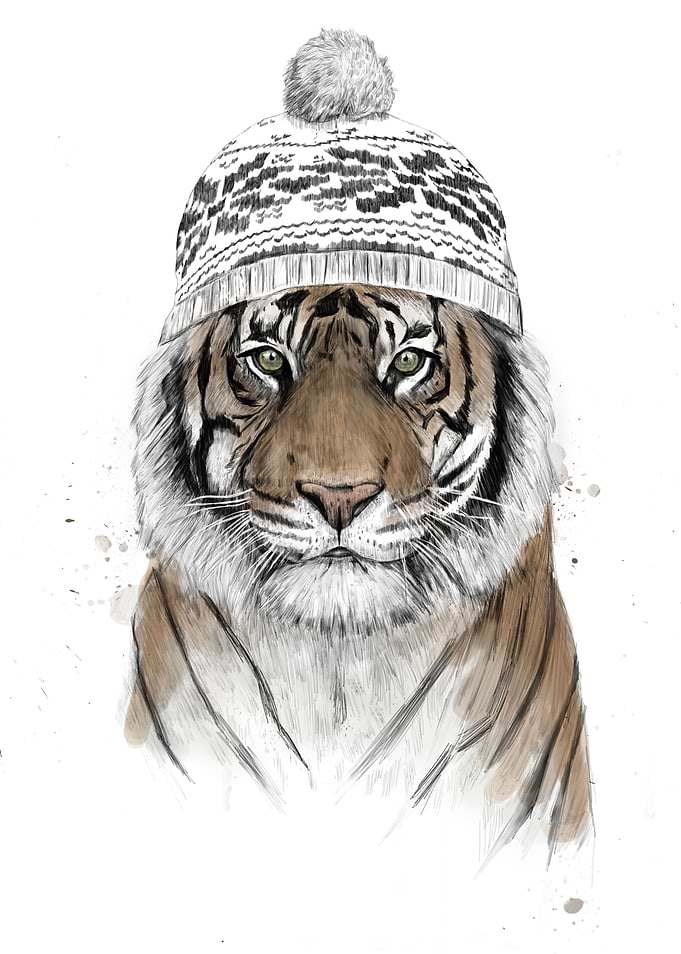 Siberian tiger
