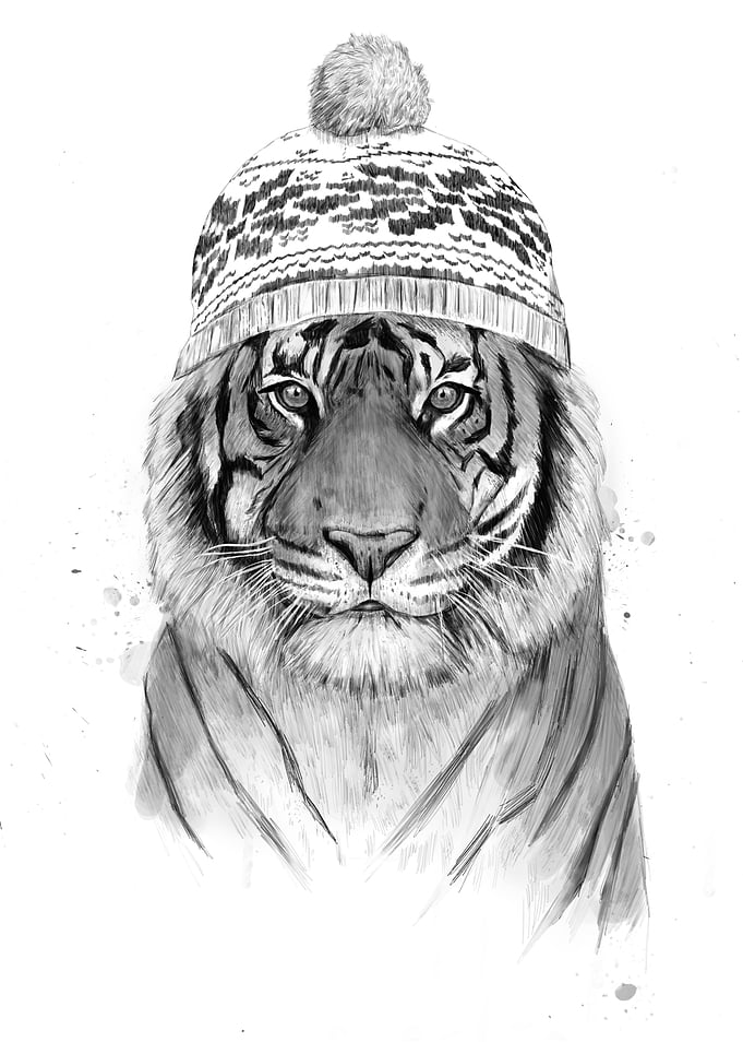 Siberian tiger (b&w)