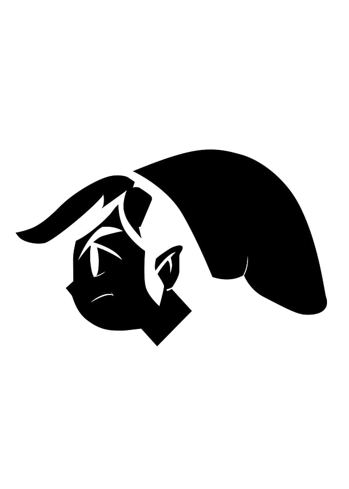 Toon Link profile