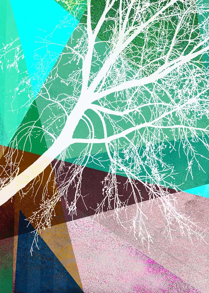 P16-H TREES AND TRIANGLES