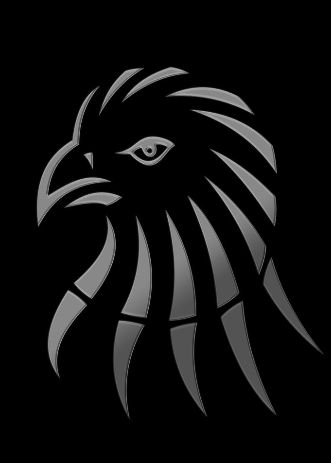 Falcon