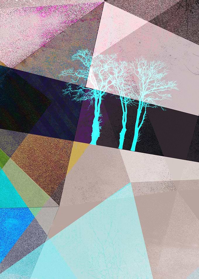 P16-E TREES AND TRIANGLES