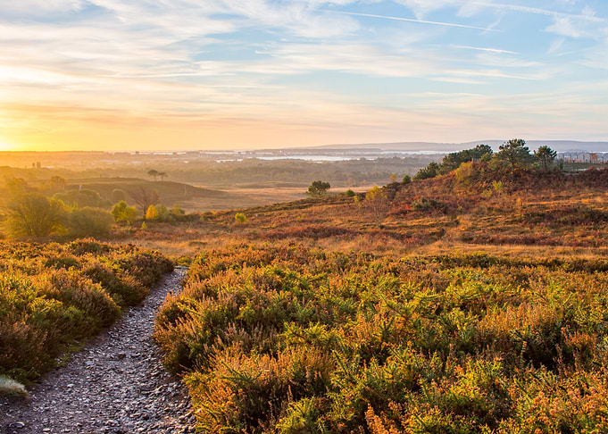A bright, chilly, autumnal sun rise over looking Poole ...