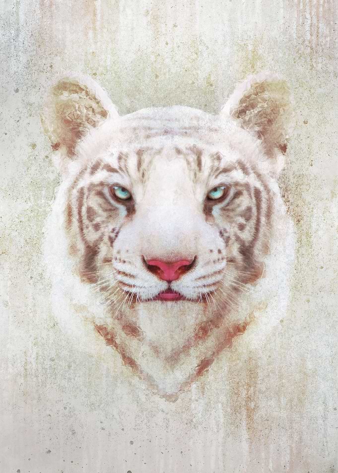 White Tiger