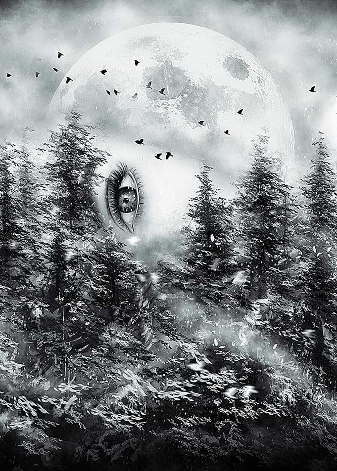 The Watcher - I'm watching you now in the icy woods a ...