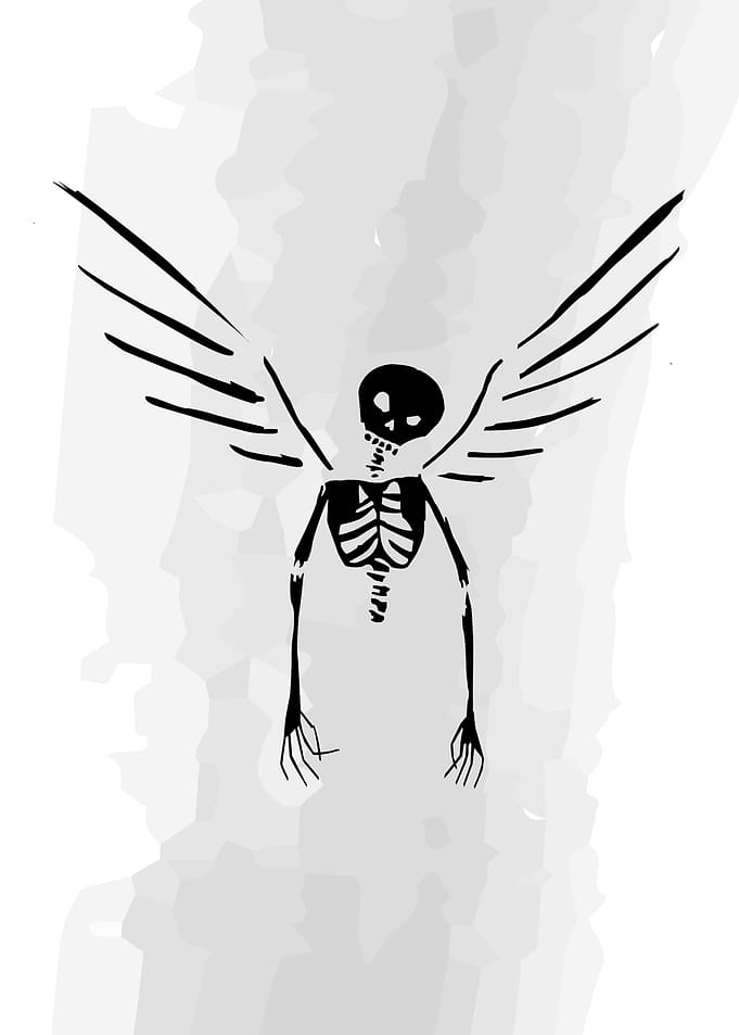 skeleton with wings
