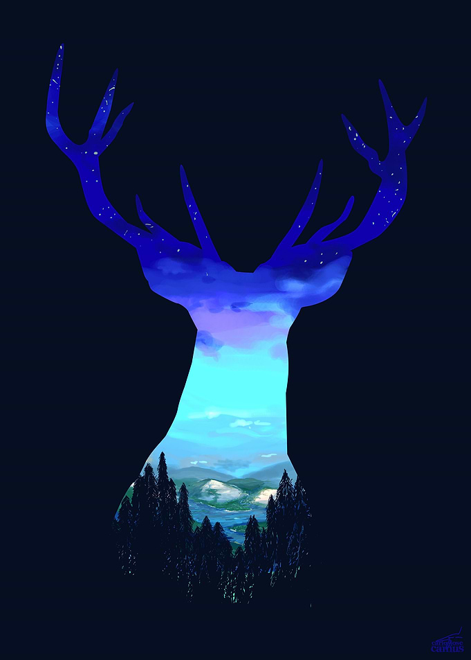 Deer Country