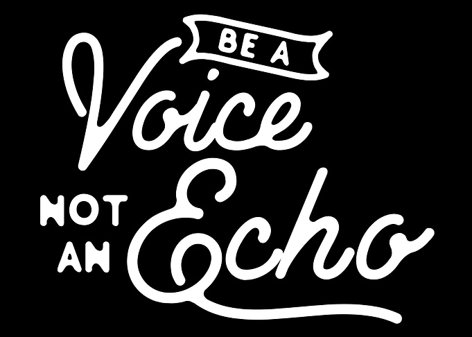 Be a voice not an echo