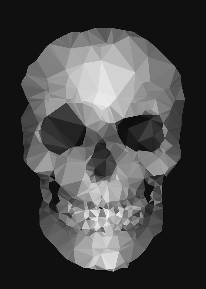 Polygons skull