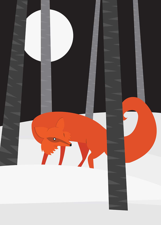 Winter Fox