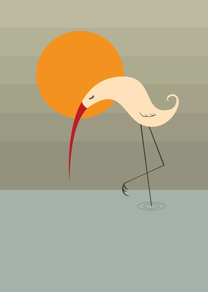 Bird and Sun