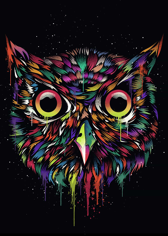 Cosmic Owl