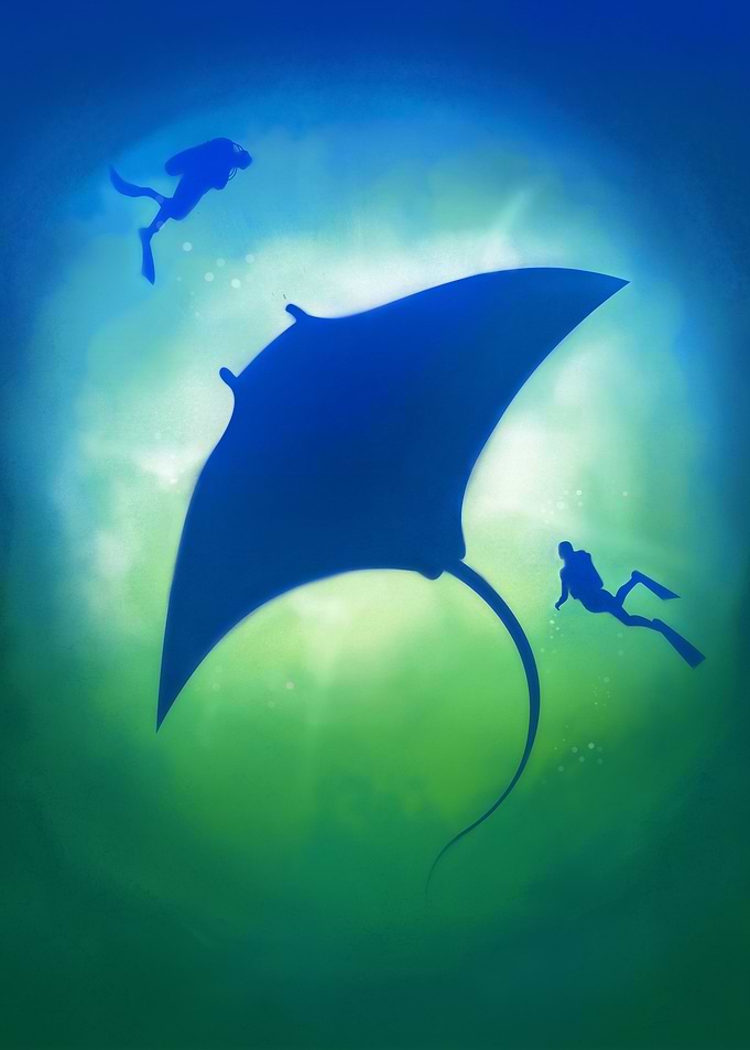 Blue Manta