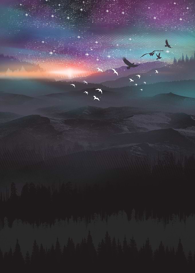 Northern Lights