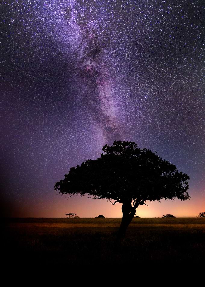 night in Africa