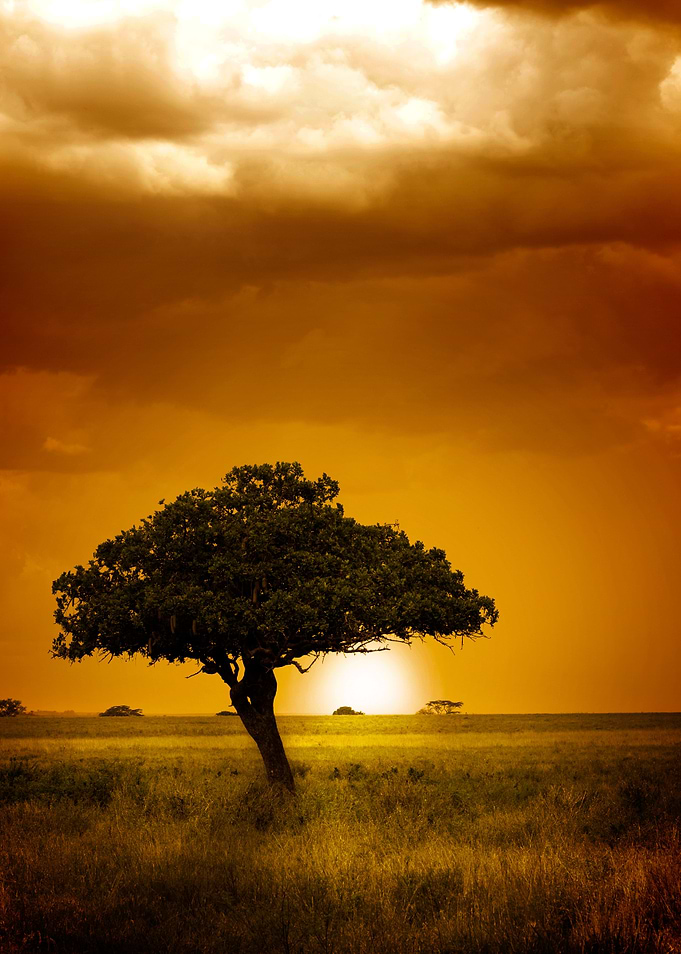 Sunset in Serengeti National Park