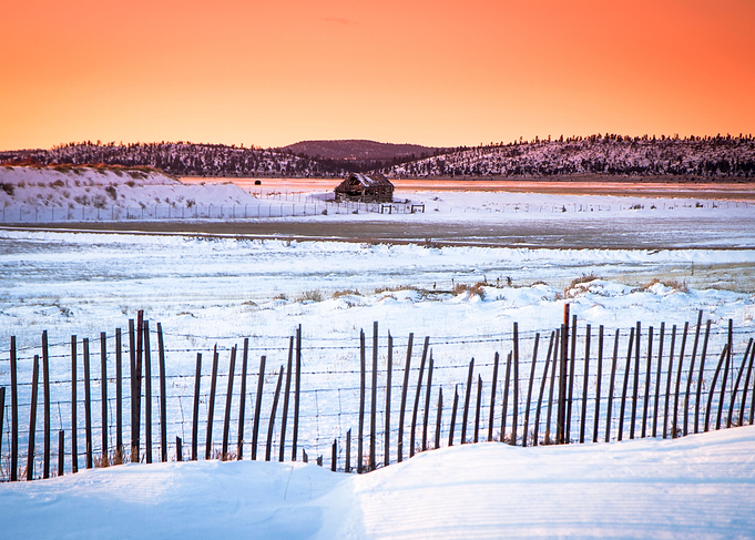 Landscape in Bryce Canyon
