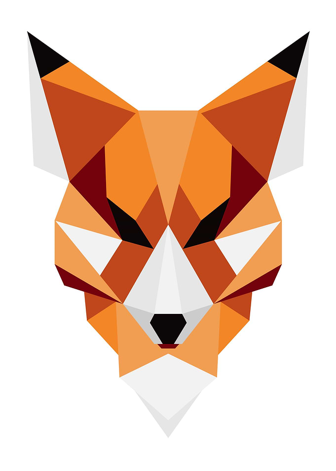 Geometric design of a fox
