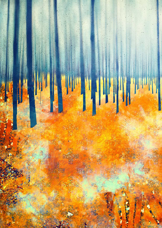Late Autumn