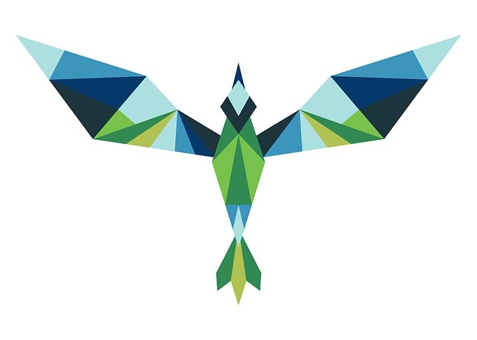 Geometric bird design