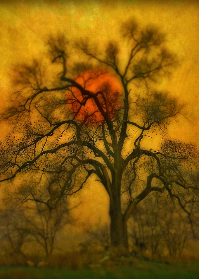 Abstract midnight sun