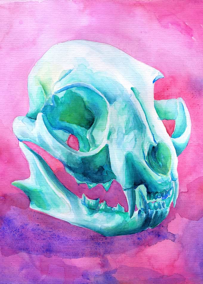cat skull watercolour painting #5 for a skull watercolo ...
