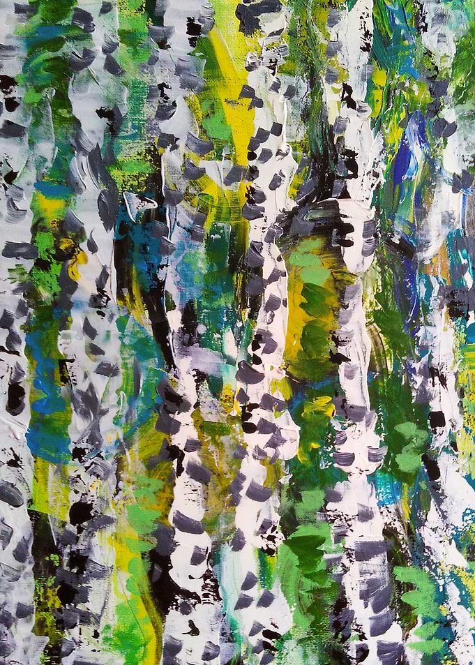 Birch forest