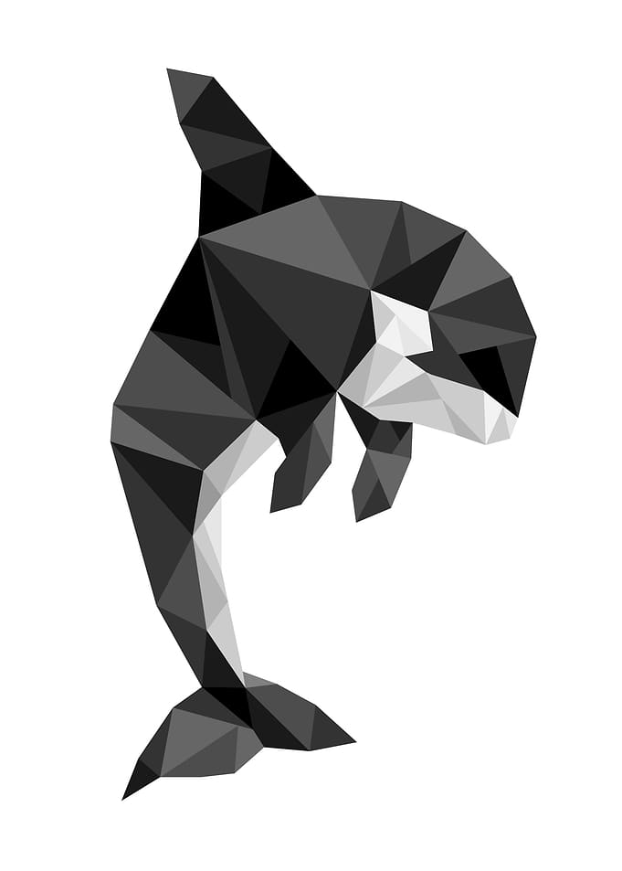 Geometric design of an Orca