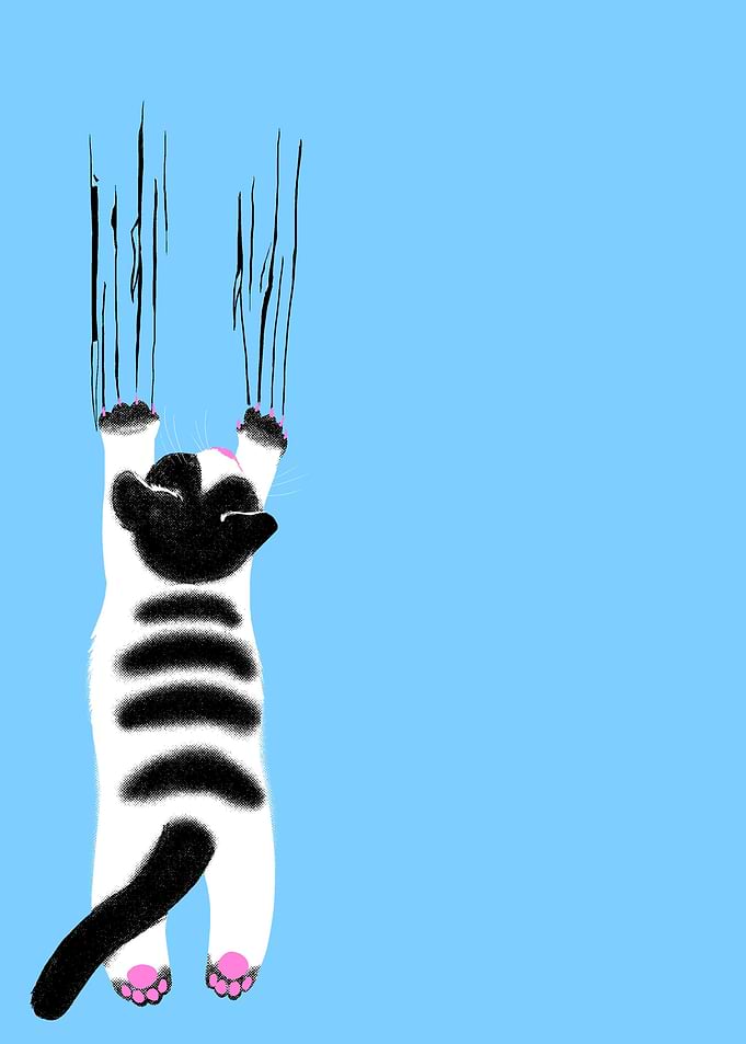Kitty