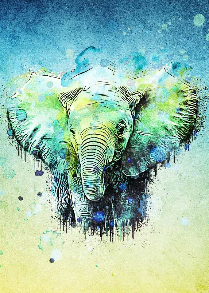 watercolor elephant