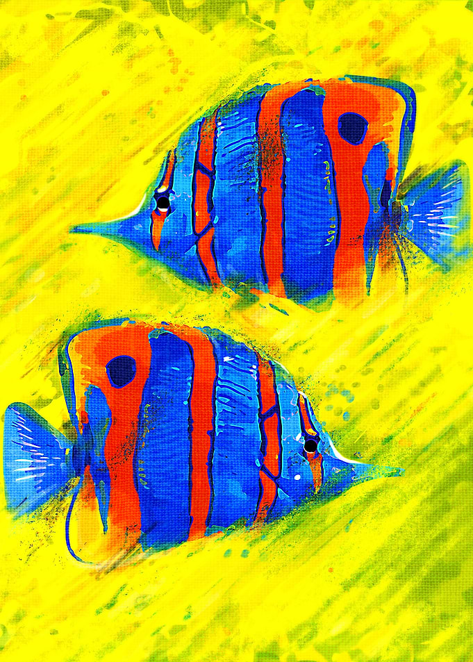 Fish II
