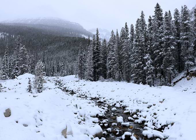 A babbling brook under a heavy blanket of snow