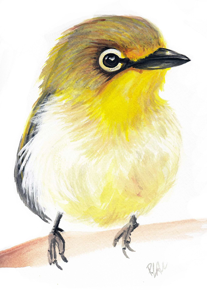 Yellow bird