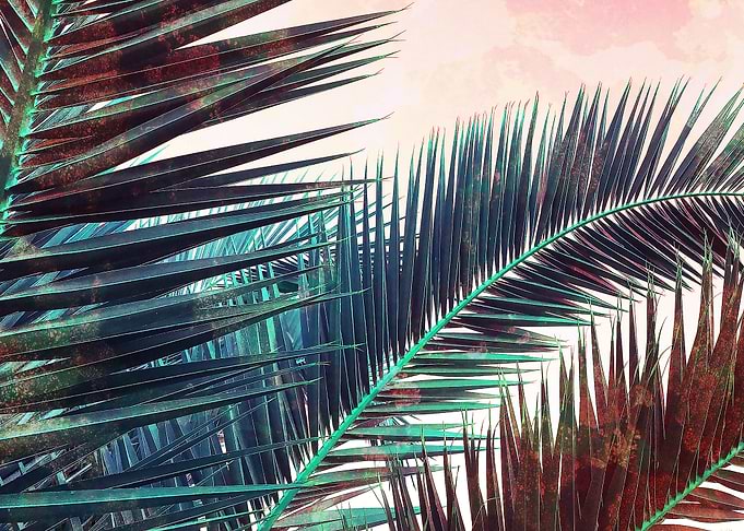 Digital manipulation of a clean photograph of palm Leav ...