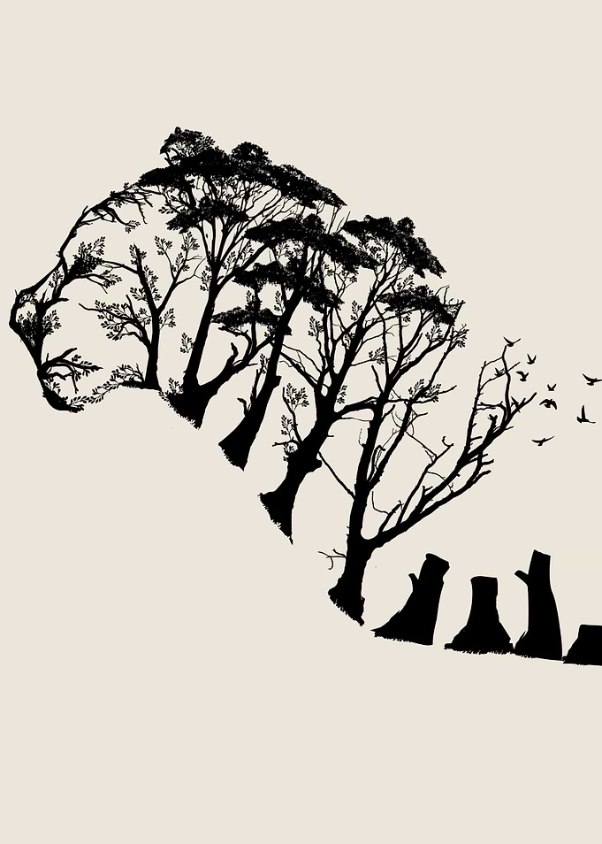 Wild Tiger