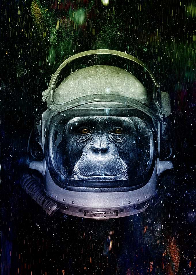 Mission to Mars