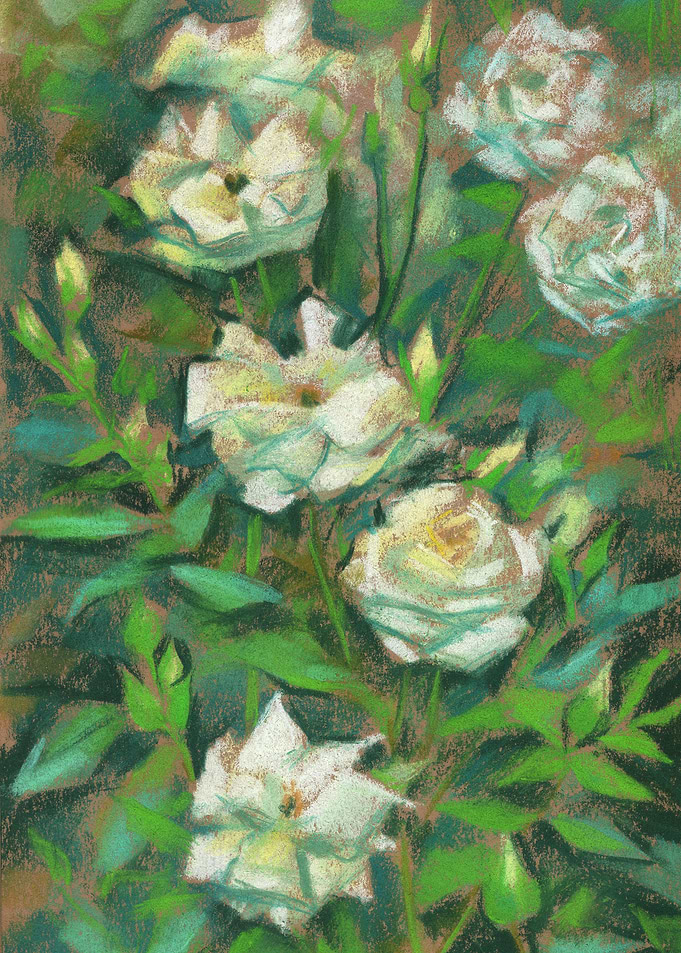 White Roses, Green Leaves