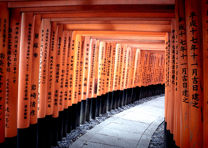 Tori at Miyajima, in Japan :)