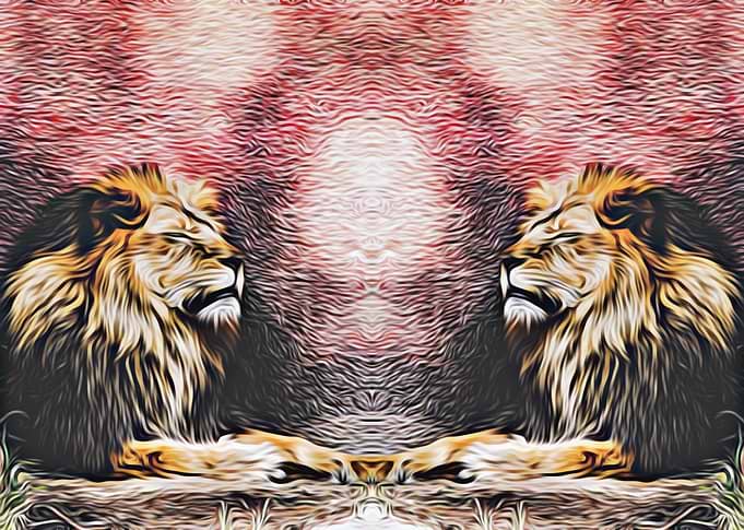 two lions with red and black background