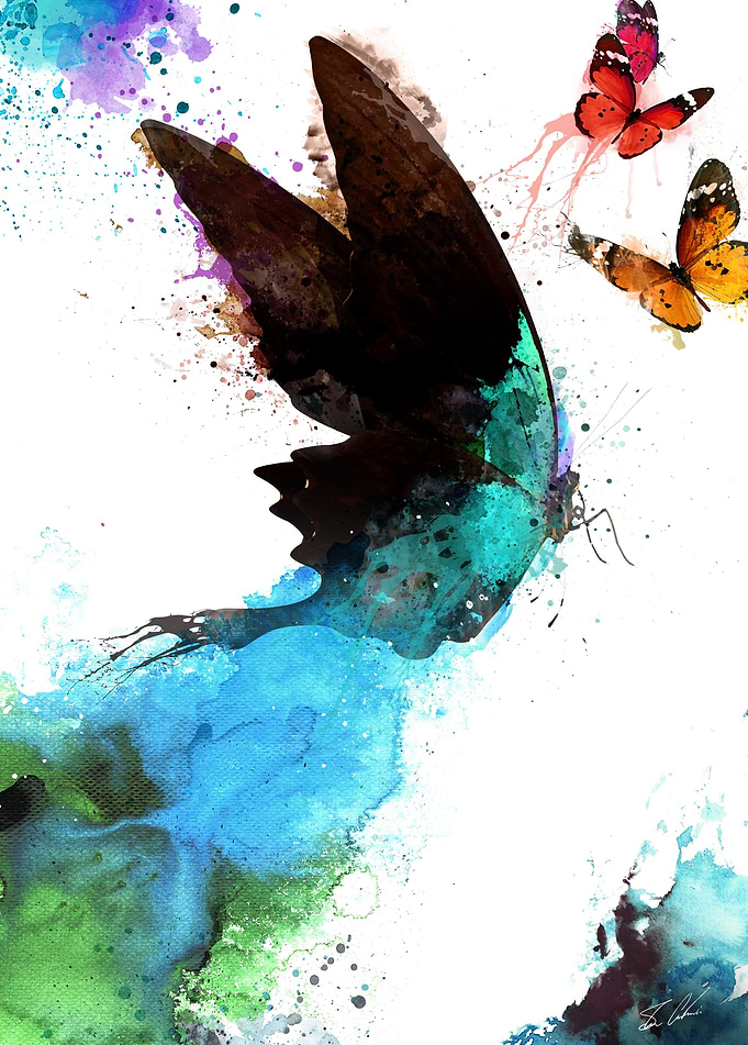 Butterfly Dreams