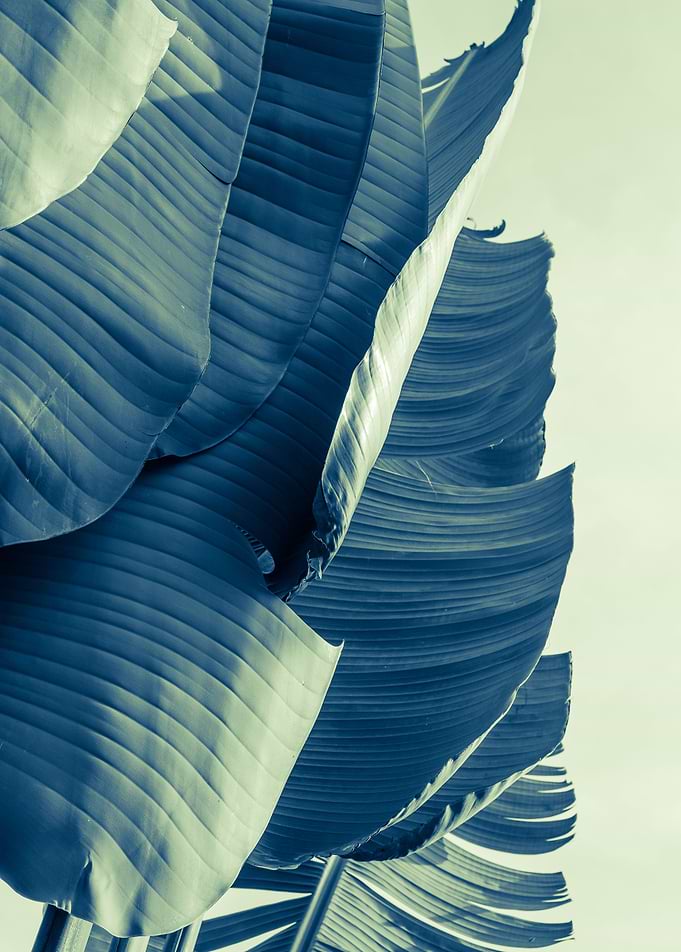 banana leaves