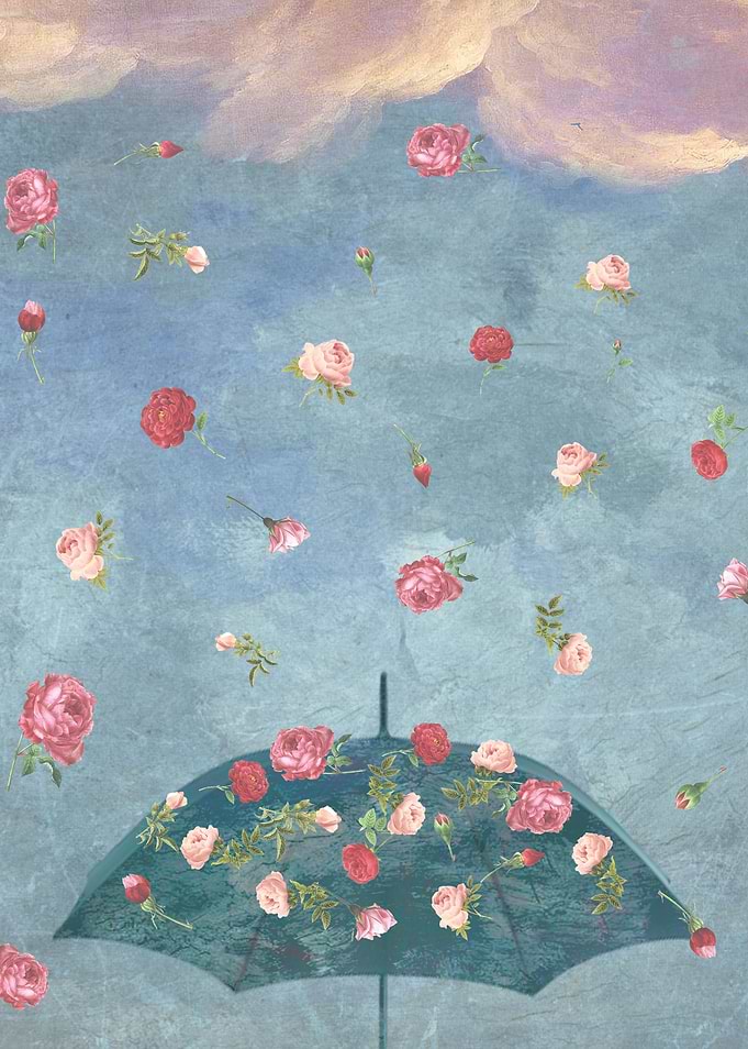 I Wished for A Rose Rain for You