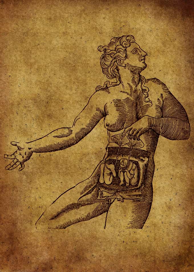 Anatomic34