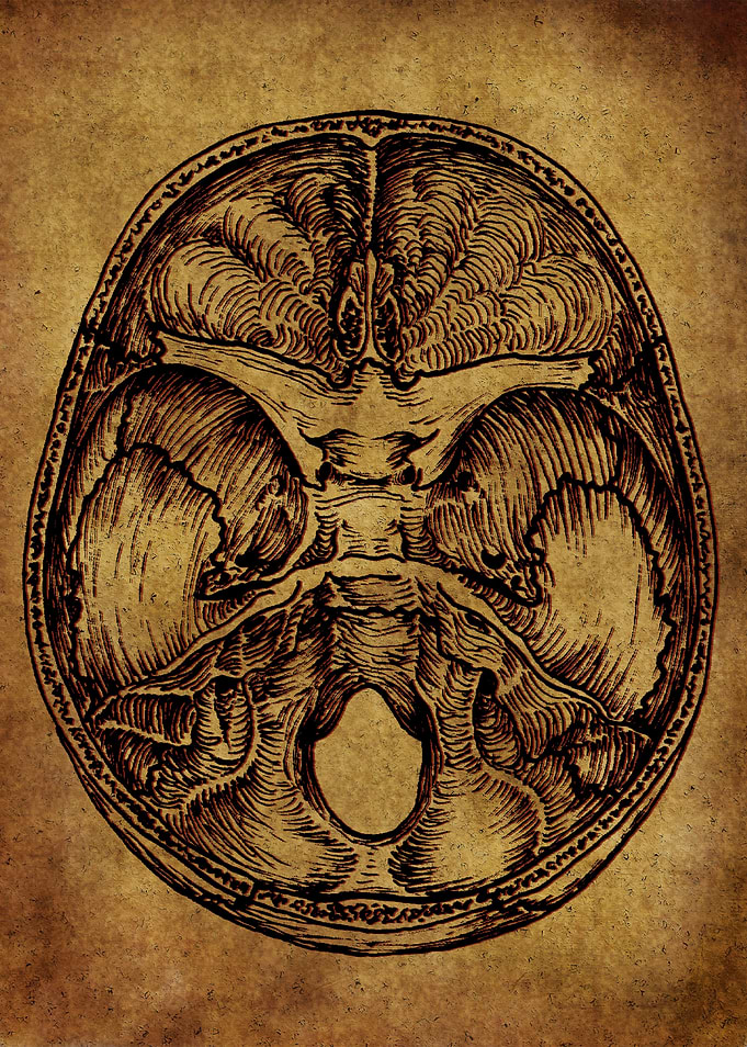 Anatomic39