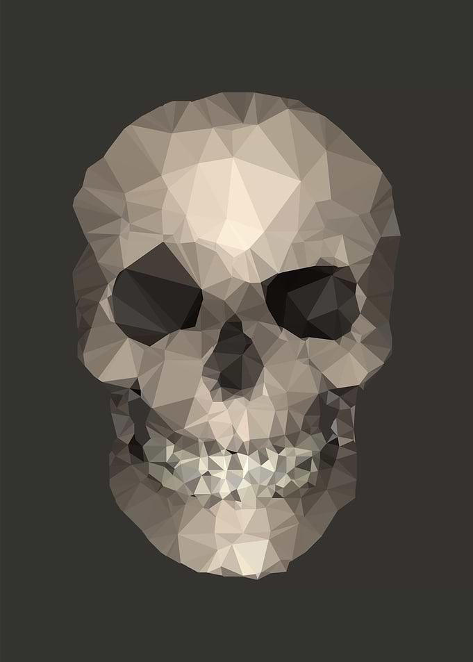 Polygons skull
