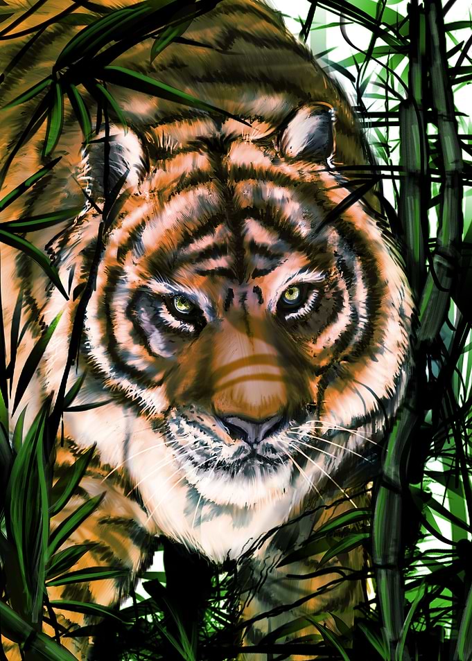 I love tigers, simple as that! Cheers and Enjoy!