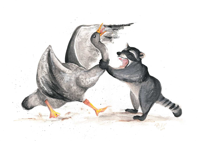Goose VS Raccoon