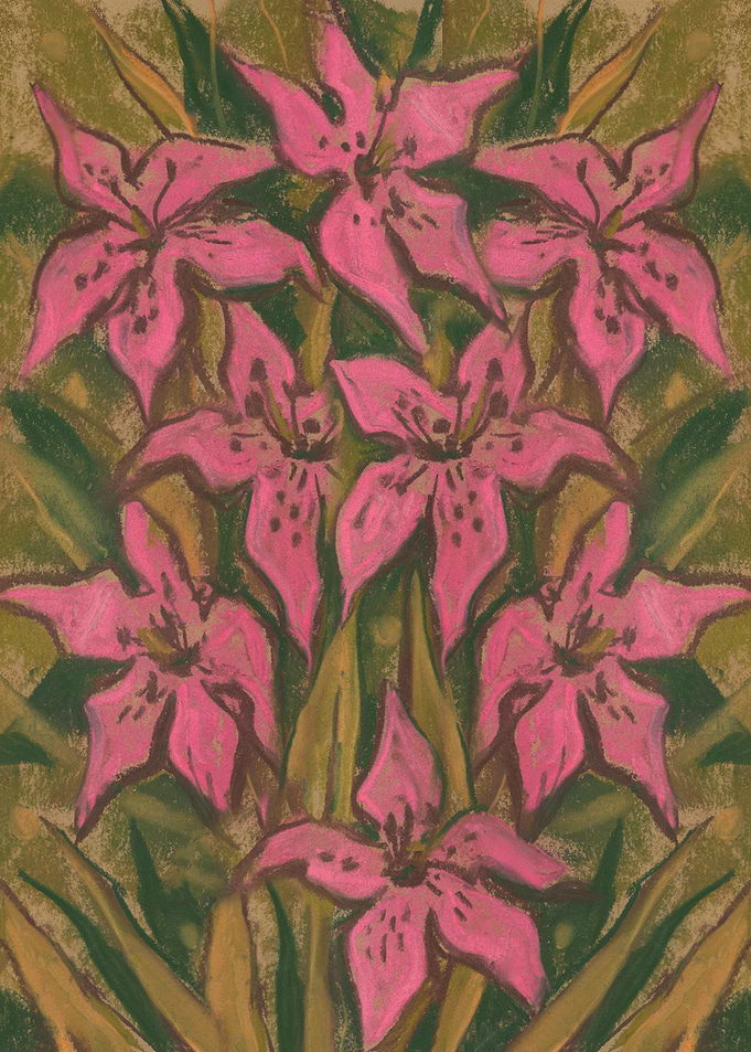 Pink Lilies